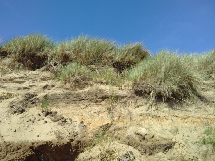 sand dune level