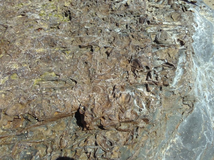 slaty iron deposit over shale